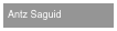 Antz Saguid
